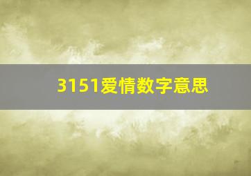 3151爱情数字意思