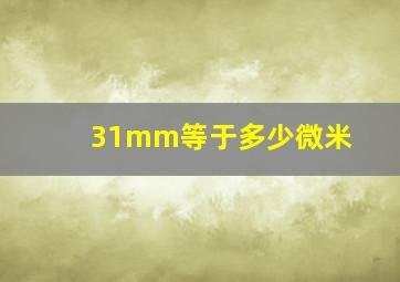 31mm等于多少微米