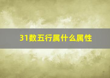 31数五行属什么属性