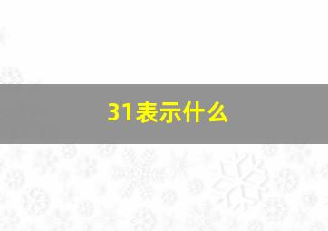 31表示什么