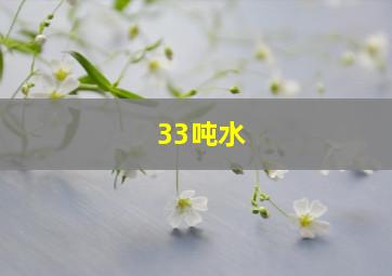 33吨水