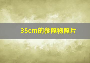 35cm的参照物照片