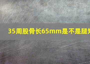 35周股骨长65mm是不是腿短