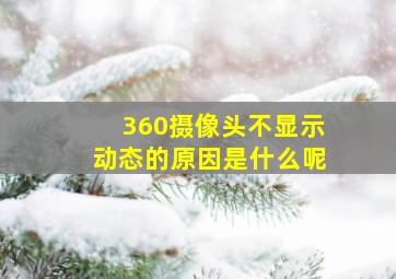 360摄像头不显示动态的原因是什么呢