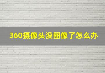 360摄像头没图像了怎么办