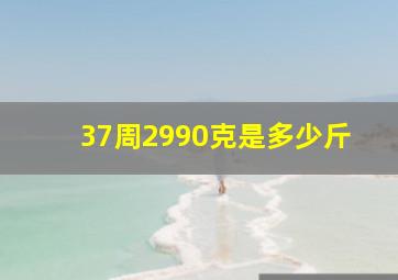 37周2990克是多少斤