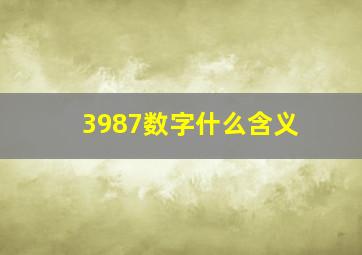 3987数字什么含义