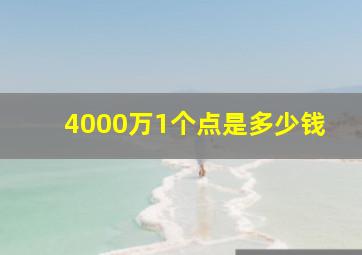 4000万1个点是多少钱