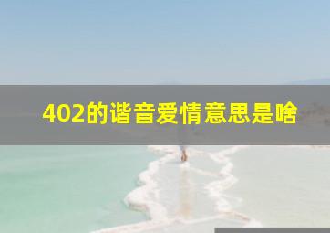 402的谐音爱情意思是啥