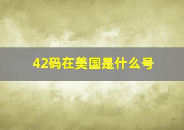 42码在美国是什么号