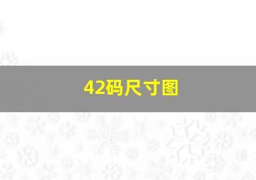 42码尺寸图