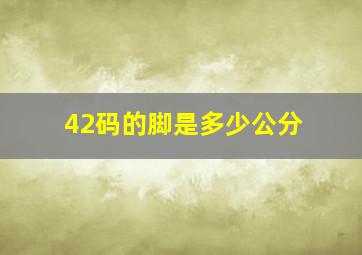 42码的脚是多少公分