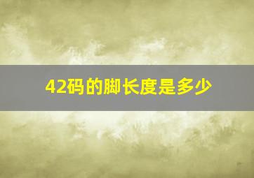 42码的脚长度是多少