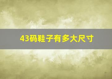 43码鞋子有多大尺寸