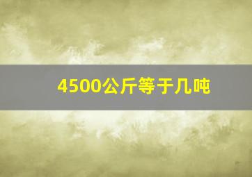 4500公斤等于几吨