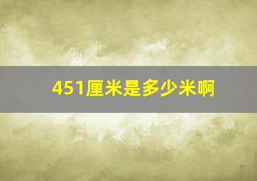 451厘米是多少米啊