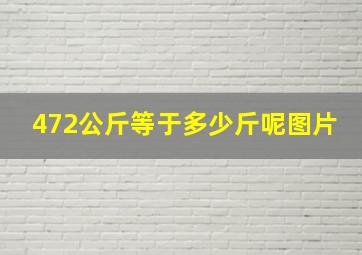 472公斤等于多少斤呢图片