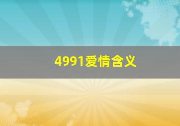 4991爱情含义