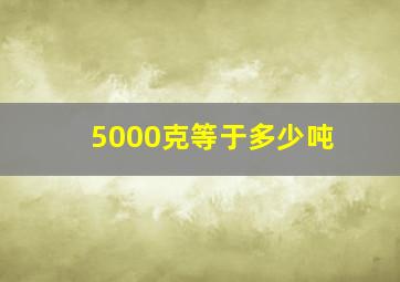 5000克等于多少吨