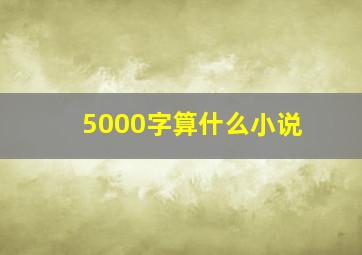 5000字算什么小说