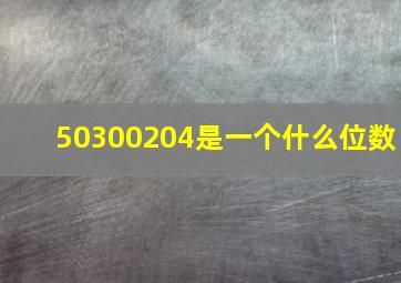 50300204是一个什么位数