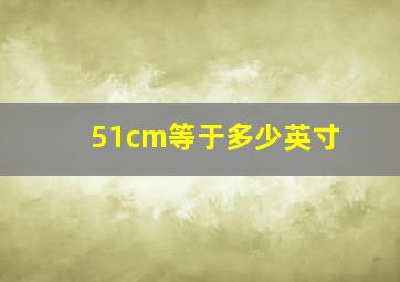 51cm等于多少英寸