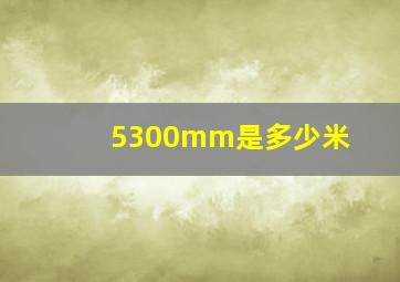 5300mm是多少米