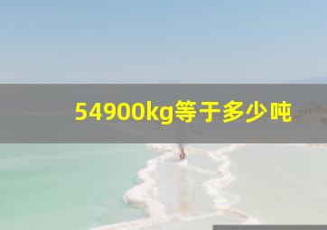 54900kg等于多少吨