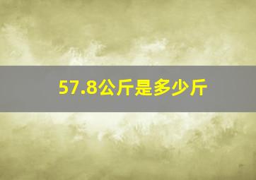 57.8公斤是多少斤