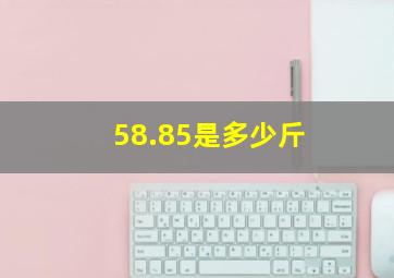 58.85是多少斤