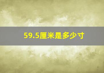 59.5厘米是多少寸