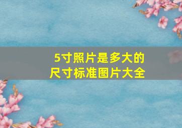 5寸照片是多大的尺寸标准图片大全