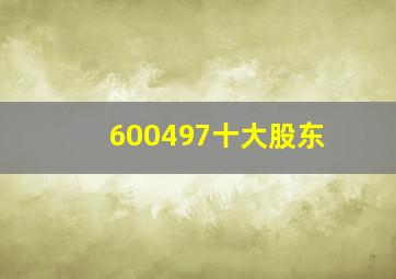 600497十大股东