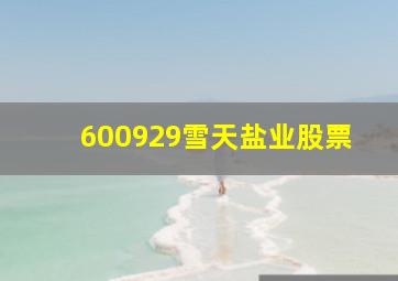 600929雪天盐业股票