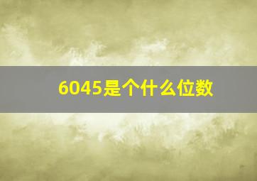 6045是个什么位数