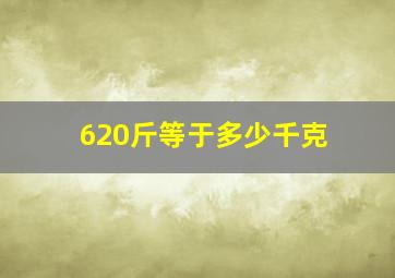 620斤等于多少千克