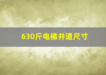 630斤电梯井道尺寸