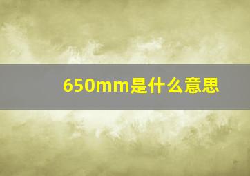 650mm是什么意思