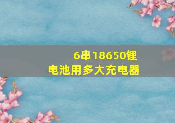 6串18650锂电池用多大充电器