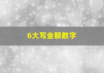 6大写金额数字