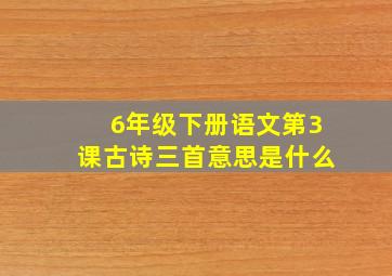 6年级下册语文第3课古诗三首意思是什么