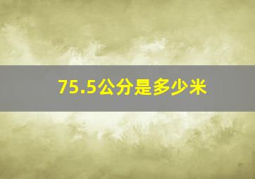 75.5公分是多少米