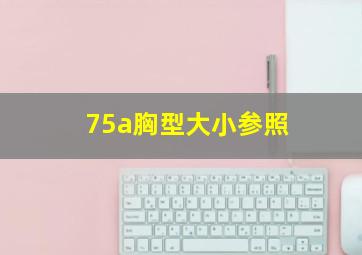 75a胸型大小参照