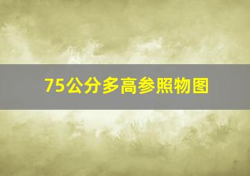 75公分多高参照物图