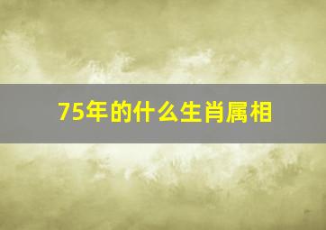 75年的什么生肖属相