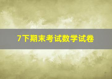 7下期末考试数学试卷