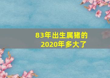 83年出生属猪的2020年多大了