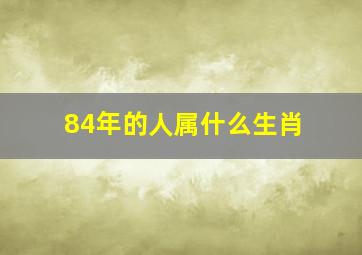 84年的人属什么生肖