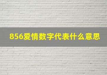 856爱情数字代表什么意思