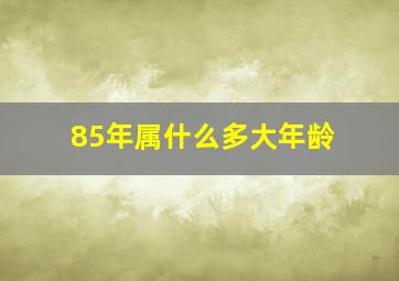 85年属什么多大年龄